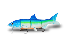 RenkyOne · 25cm