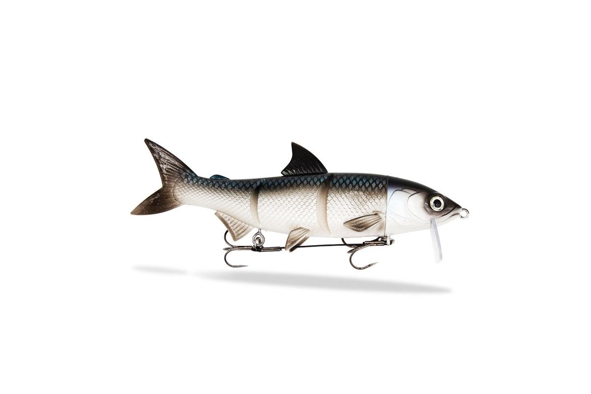 RenkyOne | 18cm | White Fish