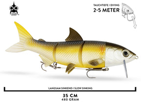 RenkyOne | 35cm XL | Rudd