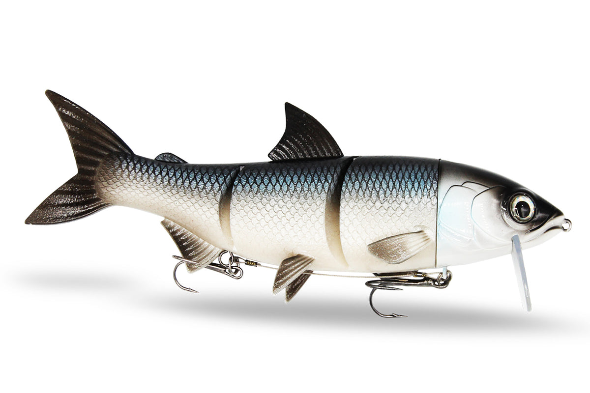 RenkyOne | 35cm XL | White Fish