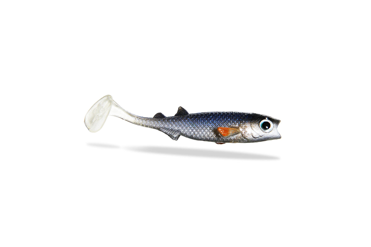 RenkyShad | 7,5cm | White Fish (6 Stk.)